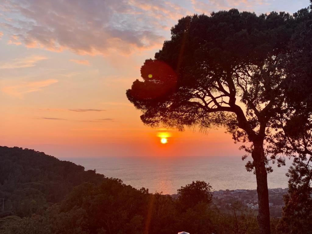 Villa Gemma Livorno Eksteriør billede